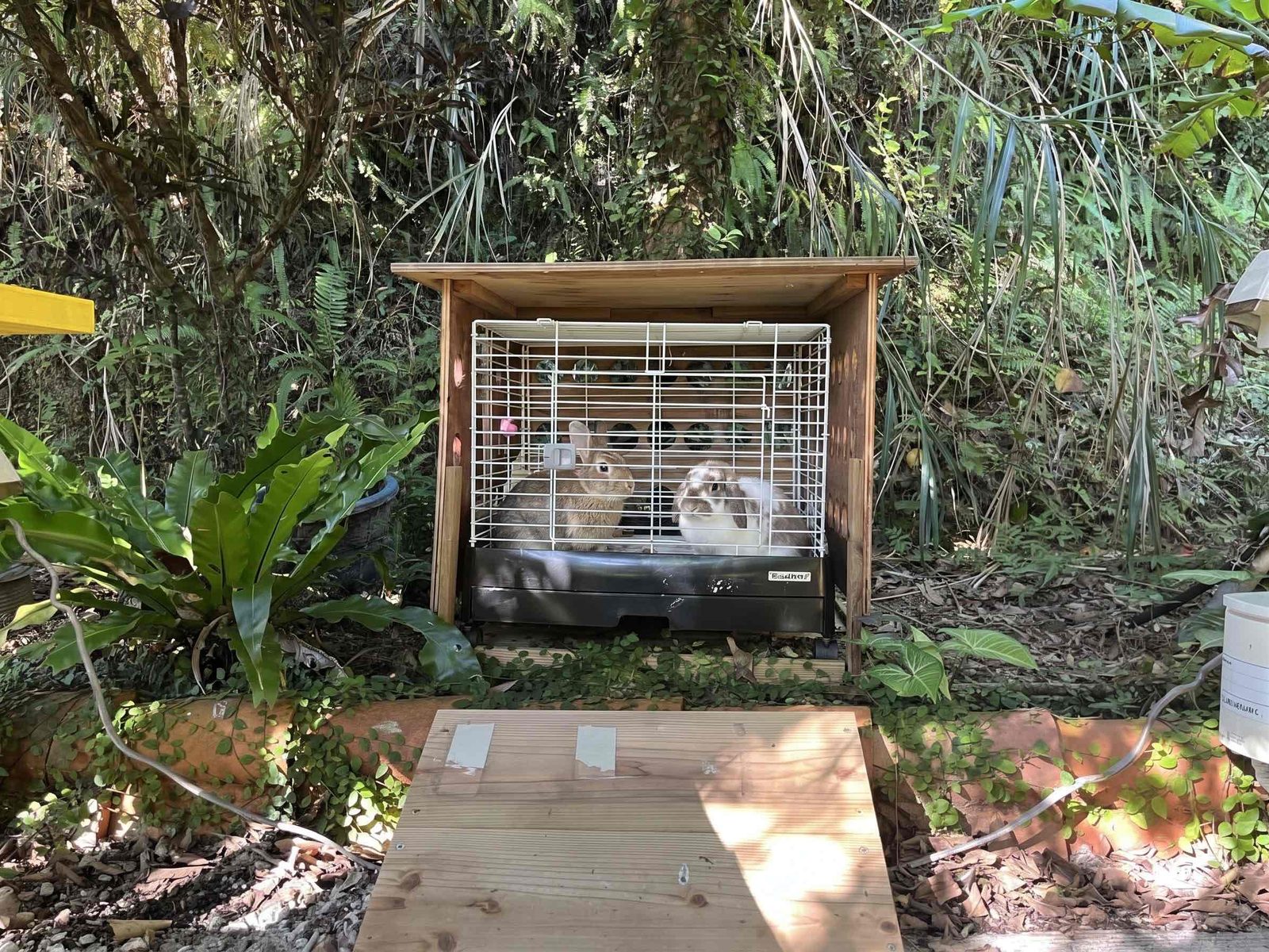 敷地内の小道にあるウサギ小屋