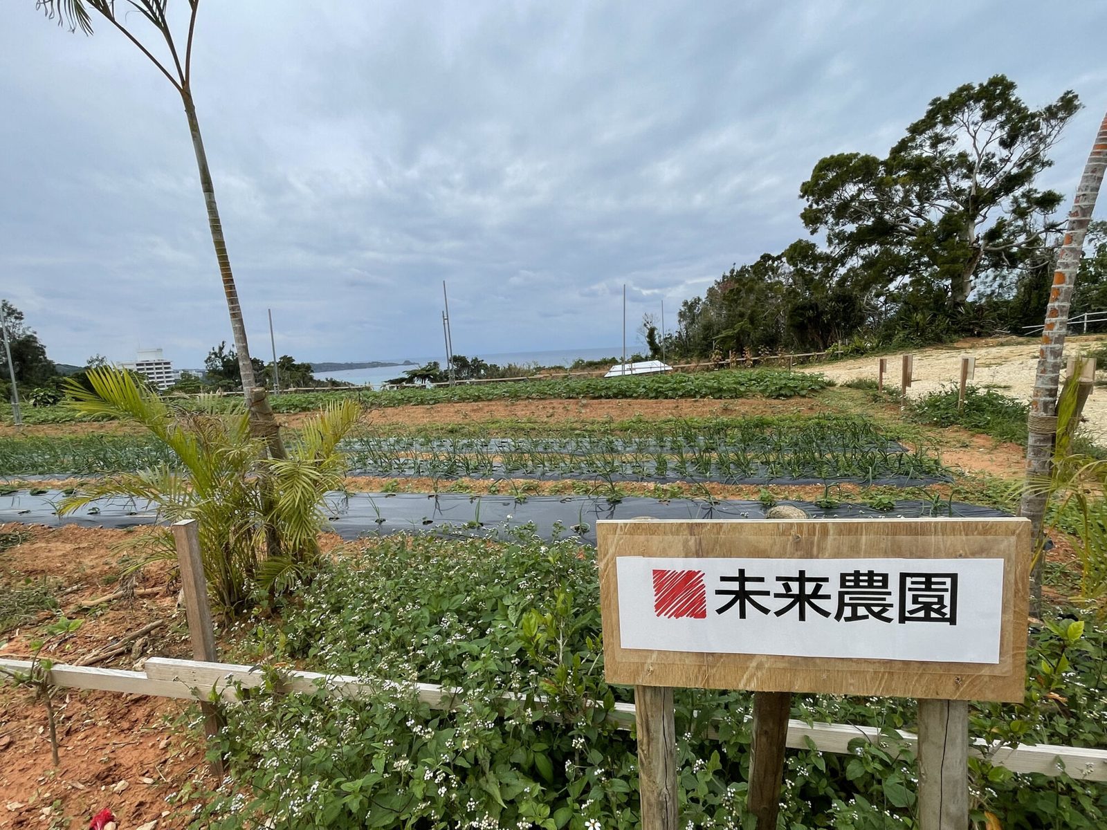未来農園の看板と畑