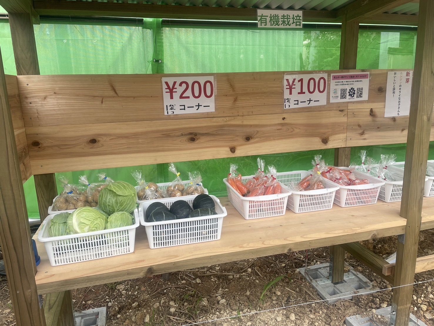 半農で採れた野菜を村内の直売コーナーで販売している様子